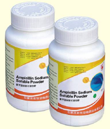 Ampicillin Sodium Soluble Powder